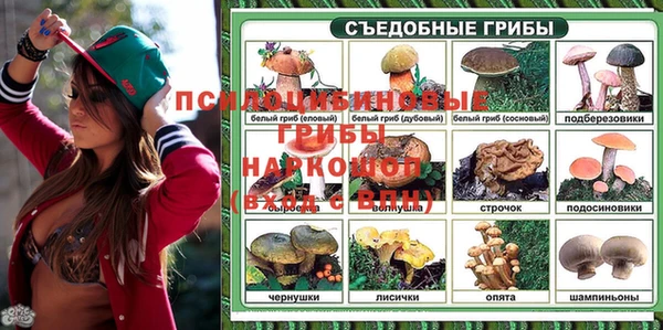MDMA Краснослободск
