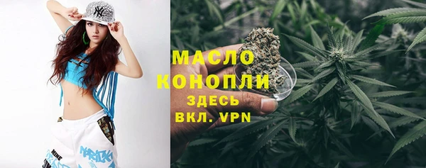 индика Краснотурьинск