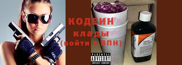 индика Краснотурьинск