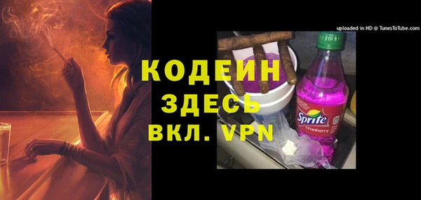индика Краснотурьинск