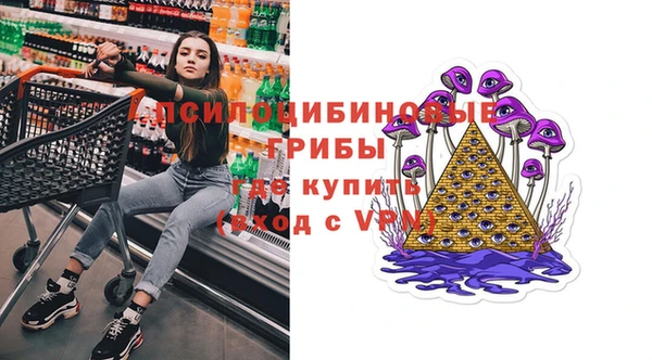 индика Красноперекопск