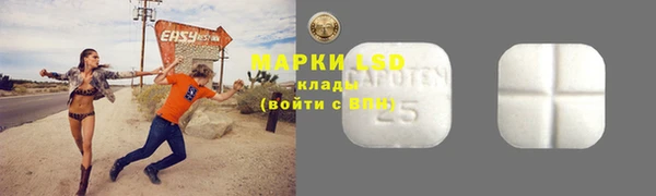 индика Краснотурьинск