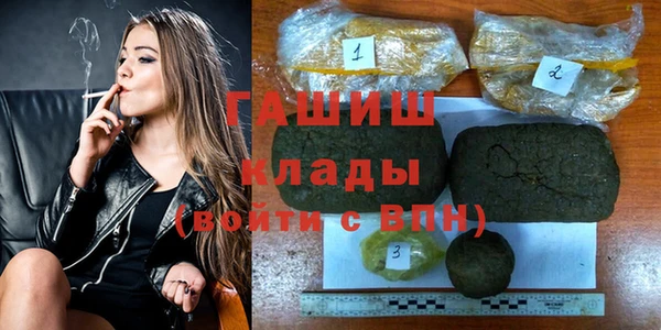 индика Краснотурьинск