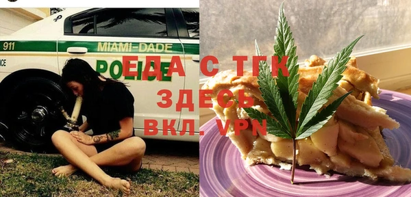 индика Краснотурьинск