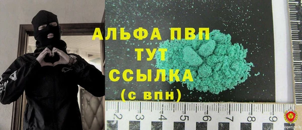 индика Краснотурьинск