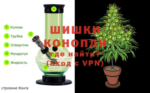 индика Красноперекопск
