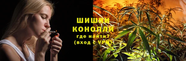 индика Красноперекопск