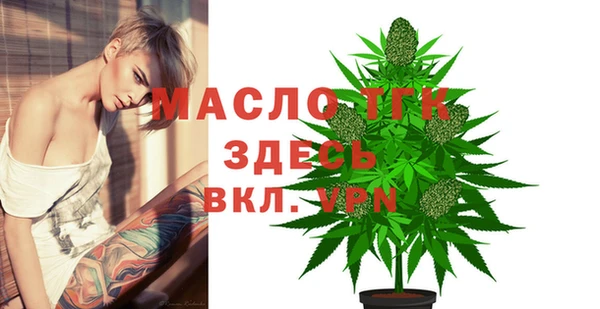 индика Краснотурьинск
