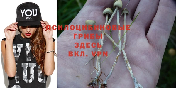 MDMA Краснослободск