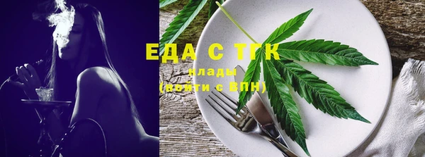 индика Краснотурьинск