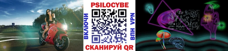 Купить  Губаха  Псилоцибиновые грибы Magic Shrooms 